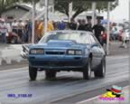 IMG_3166.jpg (89kb)