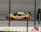IMG_3598.jpg (77kb)