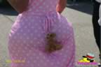 IMG_3675.jpg (51kb)